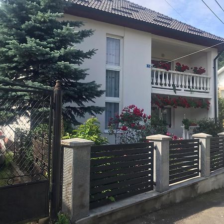 Pensiunea Grapini Sant Exteriér fotografie