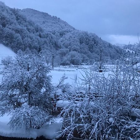 Pensiunea Grapini Sant Exteriér fotografie