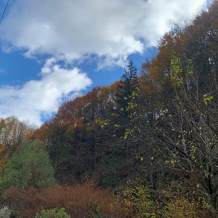 Pensiunea Grapini Sant Exteriér fotografie