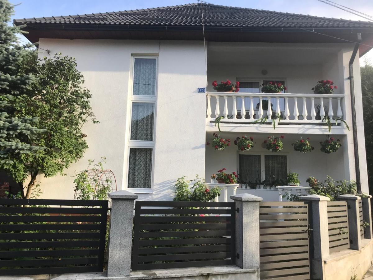 Pensiunea Grapini Sant Exteriér fotografie
