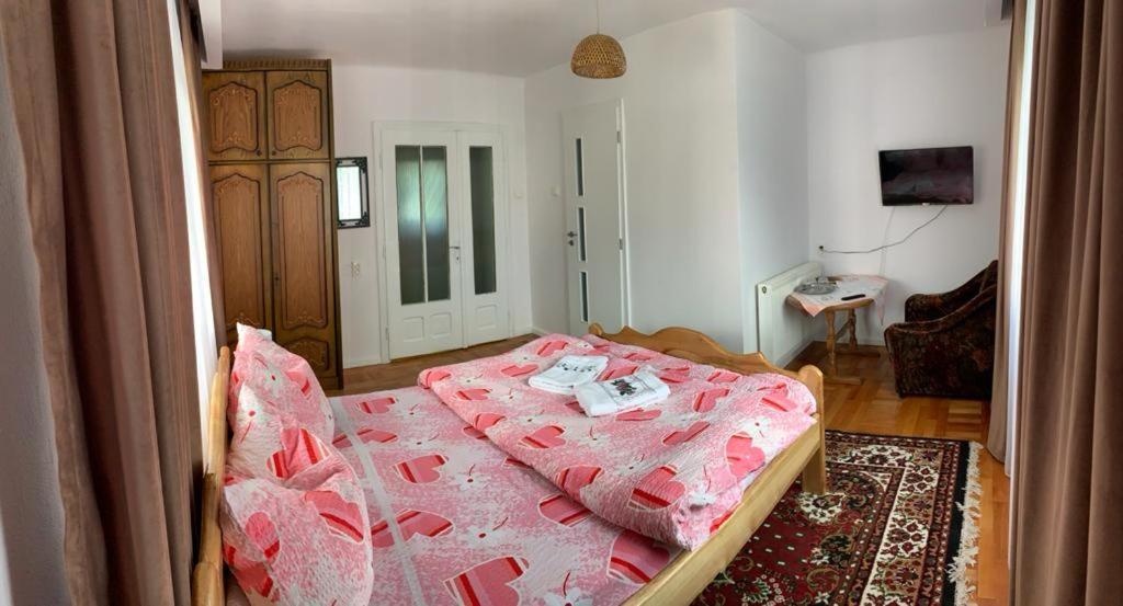 Pensiunea Grapini Sant Exteriér fotografie