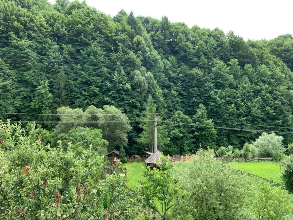 Pensiunea Grapini Sant Exteriér fotografie