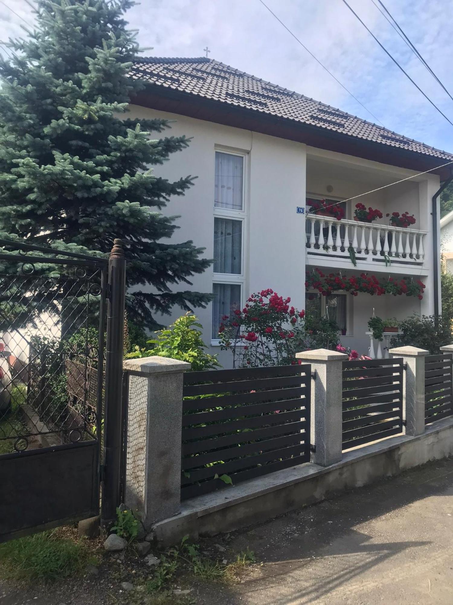 Pensiunea Grapini Sant Exteriér fotografie